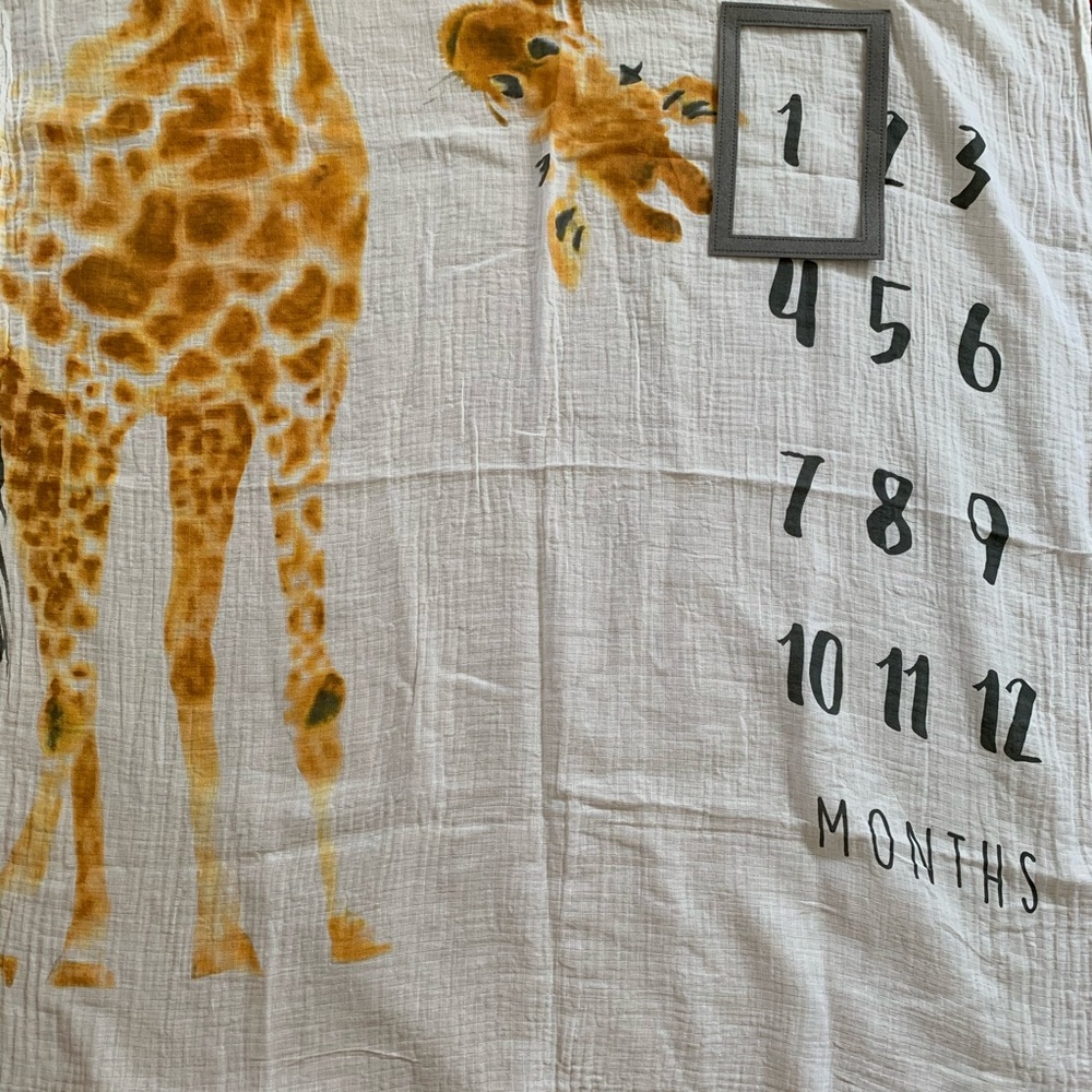 Modern Baby | Giraffe Monthly Milestone Blanket